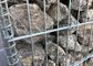 50 кс 100мм гальванизировали сваренную сетку Габион/сваренную каменную стену клетки
