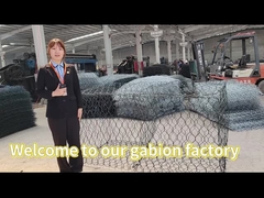 Мастерская корзины Gabion