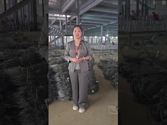 Невидимая сетка семинара шоу