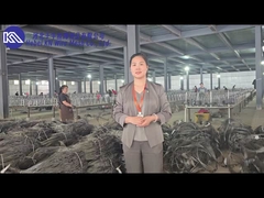 Введение и демонстрация противотанковой сетки