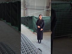 Модель оборонительного барьера 10 - подробное объяснение