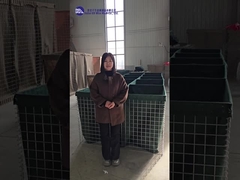 Различные модели демонстрации и объяснения оборонительного барьера