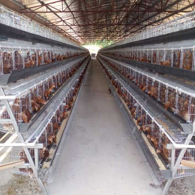Ярусы птицефермы 5 наслаивают батарею птиц клетки 250 цыпленка животную