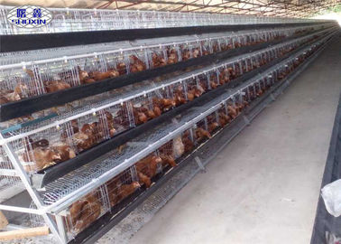 Гальванизированная система клетки батареи открытого дома цыпленка слоя для птицефермы