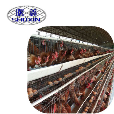 Птицы емкости 96-160 ярусов клетки 3/4 цыпленка курятника высококачественные в Танзании