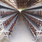 Ярусы птицефермы 5 наслаивают батарею птиц клетки 250 цыпленка животную