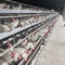 Гальфанная проволока птицеводческий дом слой Куриная клетка для откладывания яиц