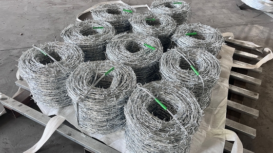 KN Горячая продажа Пряжа Колючая проволока Электроцинки Колючая проволока