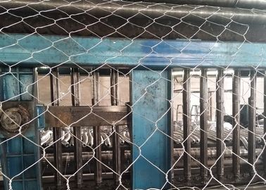 Горячий окунутый гальванизированный сплетенный шестиугольный датчик провода корзины 2.0-4.0мм Габион ячеистой сети