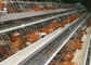 Гальванизированная клетка слоя цыпленка батареи, оборудование сельского хозяйства птицы