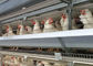 Тип 96 клетка класть яйца куриц птиц гальванизированная для обрабатывать землю слоя