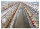 Клетка цыпленка бройлера сельского хозяйства птицы Q235 с сертификатом CE