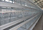 Клетки курицы слоя большой емкости гальванизированные автоматические для 160 цыплят