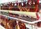 Тип цыпленок птицы автоматической системы 128 арретирует сельскохозяйственное оборудование слоя яйца