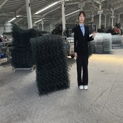 Низкоуглеродистая стальная сваренная коррозионная устойчивость корзины Gabion провода