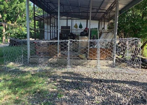 4x1x1m 3.05mm Wire Gabion Basket для плотин и фундаментов с цилиндрическими металлическими конструкциями
