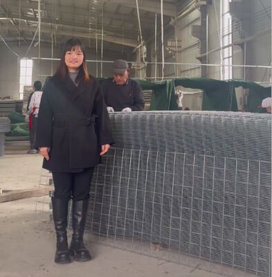 SX10 Песчаные ограждения HESCO Оборонные ограждения с геотекстилем Военные ограждения Gabion