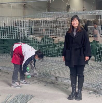 Mil 1 Армейский защитный барьер Защита стены оцинкованная покрыта геотекстилем