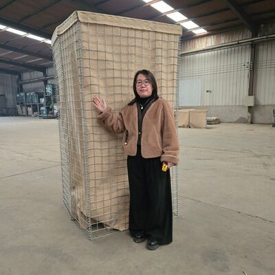 Военный барьер Hesco Bastion Wire Mesh Gabion Box с спиральной проволокой и толстым диаметром проволоки для повышения стабильности